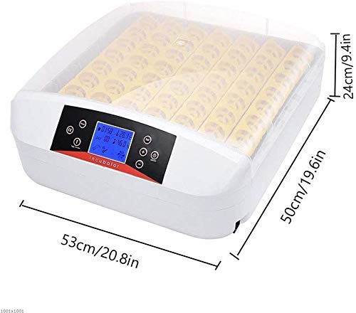 56 Egg Digital Mini Fully Automatic Poultry Egg Incubator - Hatcher for Chicken, Duck, Goose & Bird Eggs with Auto Turning | Perfect for Home Farming, Backyard Poultry & Small Scale Hatching