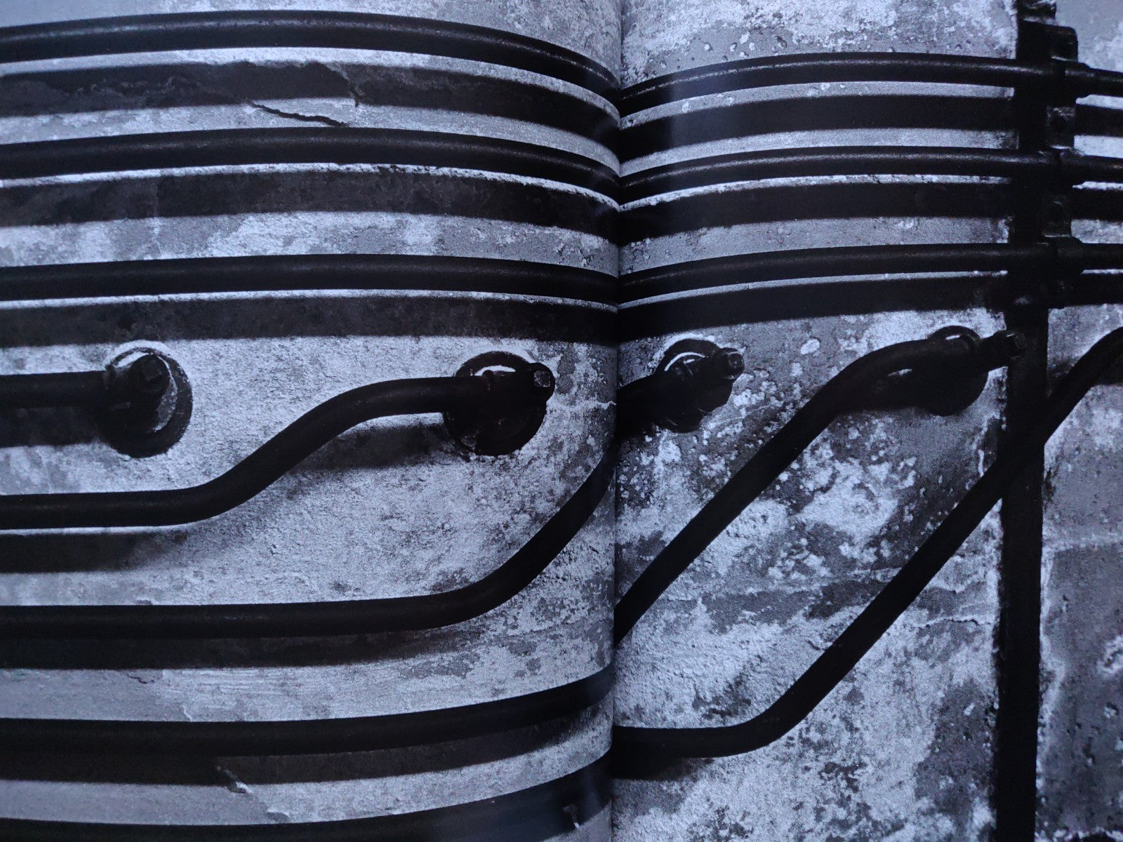 Beyond The Shadows: The Holocaust and the Danish Exception - Historical WWII Book About Denmark's Jewish Rescue | Holocaust Studies, World War 2 History | For History Buffs, Educators & Students