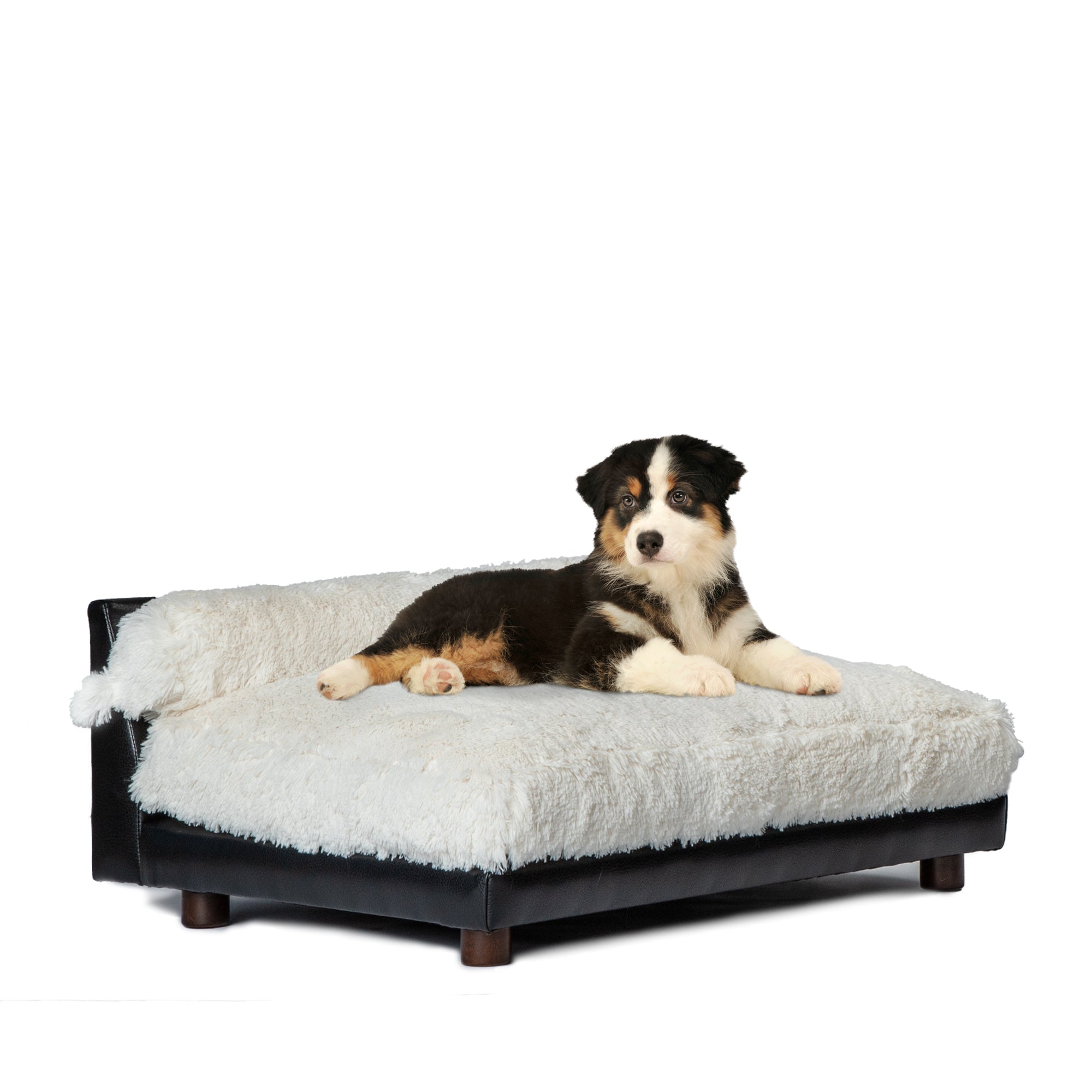 Club Nine Pets Roma Orthopedic Dog Bed - Memory Foam Support for Large & Medium Dogs - Waterproof & Washable Cover - Perfect for Home, Crate & Travel Use