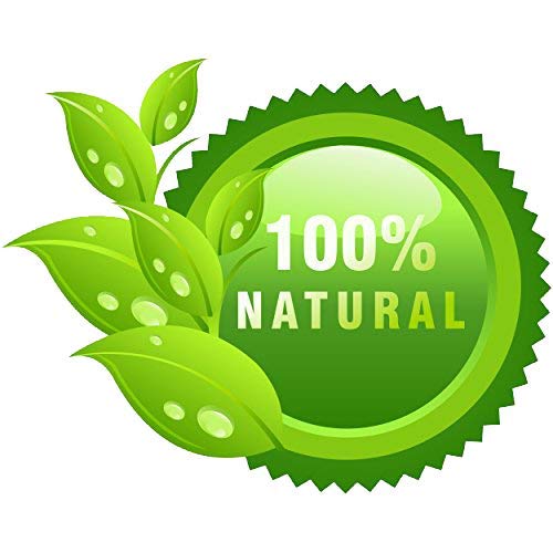 Organic Khadi Ayurvedic Hair Care Kit - Satritha Shampoo & Green Tea Aloe Vera Conditioner (210ml Each) | Natural Herbal Treatment for Dry, Damaged Hair | Perfect for Daily Hair Care Routine & Scalp Nourishment