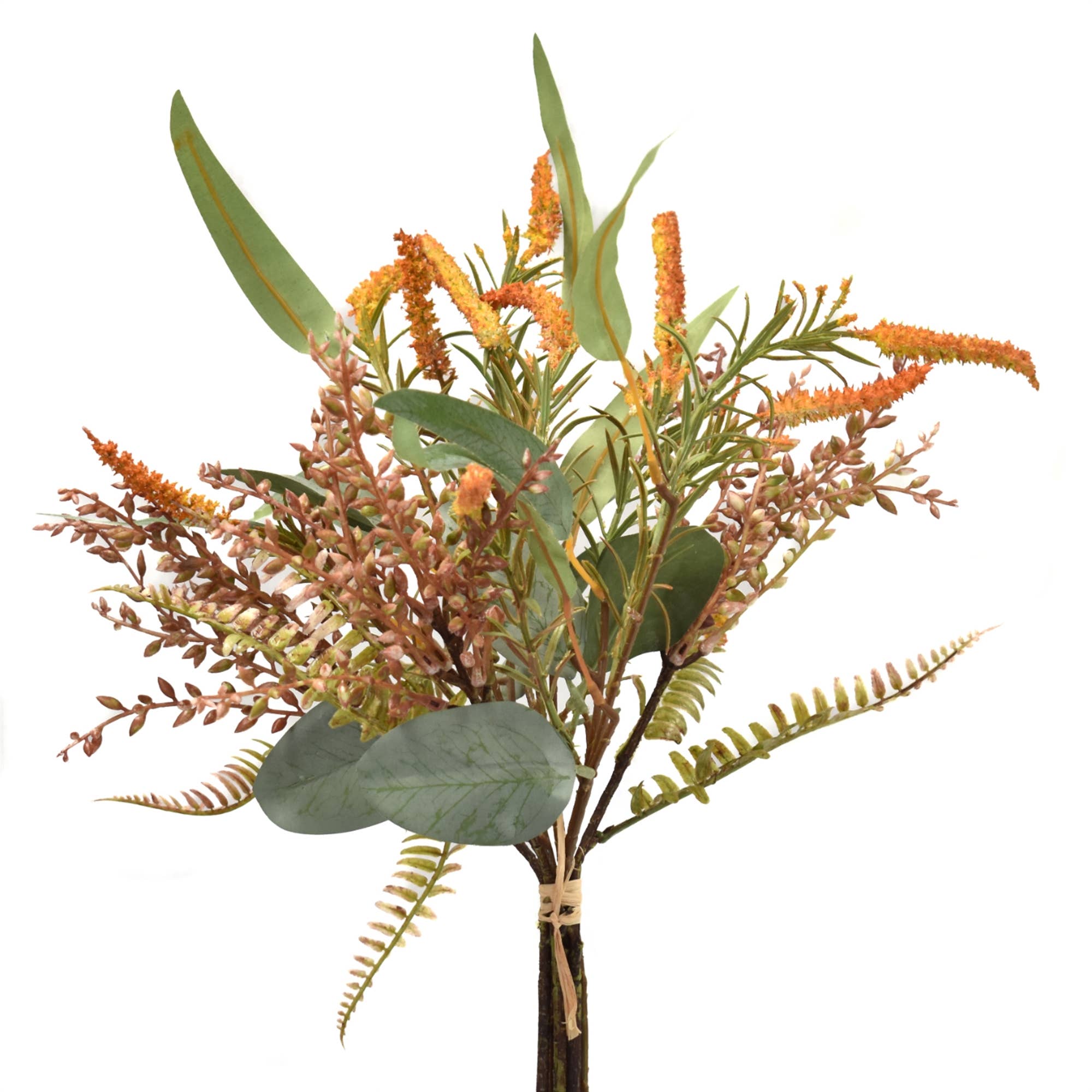 David Christopher's Collection - 19.5 Inch Foxtail Eucalyptus Seeds Bundle with Persimmon for Home Decor, Wedding Centerpieces & DIY Floral Arrangements