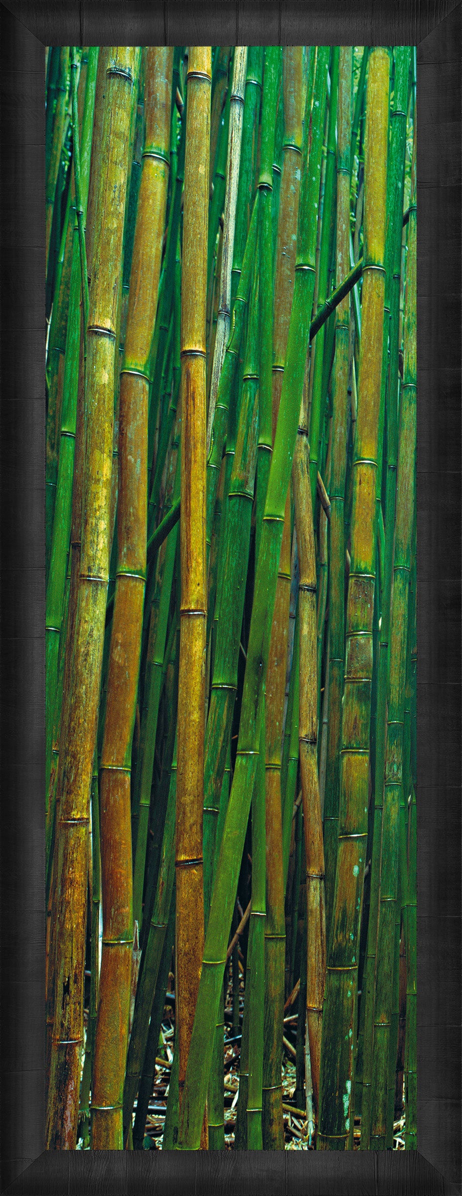 Bamboo Forest Wall Art - Natural Bamboo Decor for Home & Office - Perfect for Living Room, Bedroom, or Meditation Space