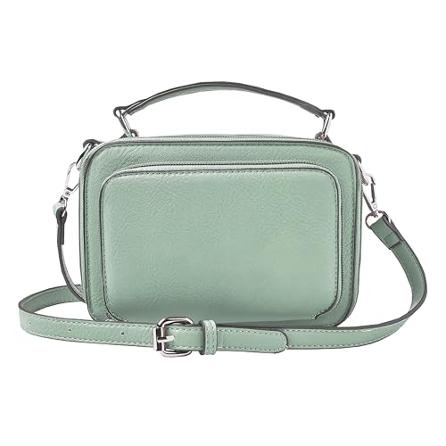 Kashmir Teal