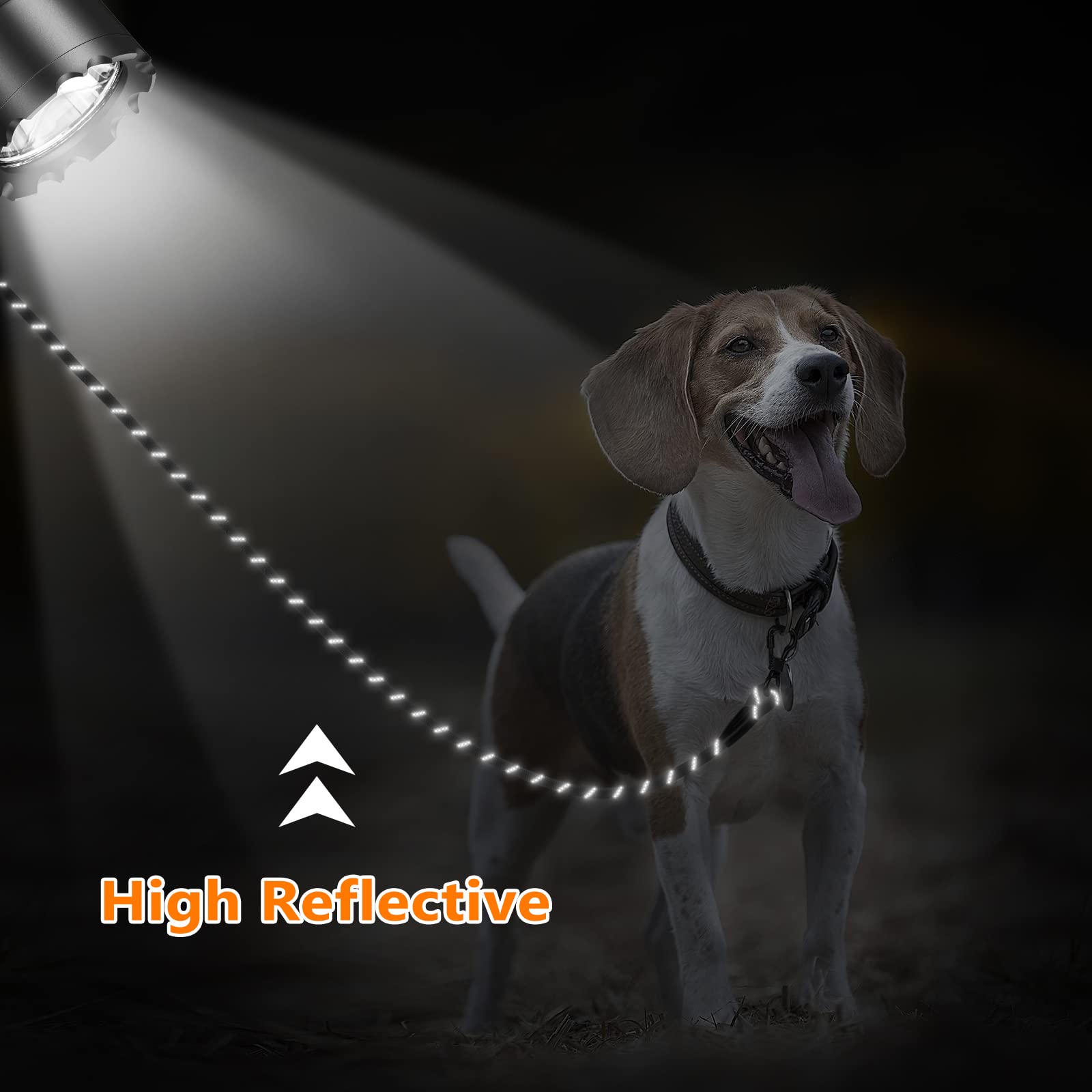 30 FT Dog Leash with 2 Swivel Hooks & Reflective Threads - Long Training Lead for Obedience Recall & Agility - Soft Handle Puppy Leash for Walking, Hunting, Camping - Perfect for Small, Medium & Large Dogs (Black) - Great for Outdoor Adventures, Park Training & Pet Safety