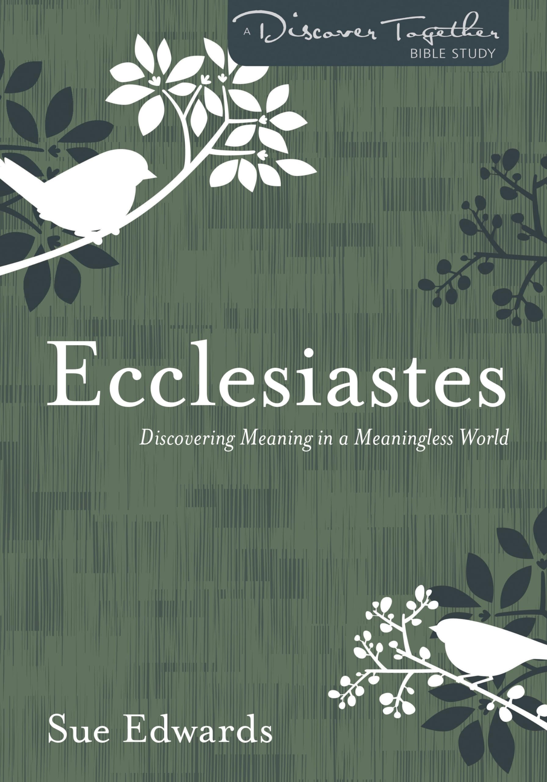 Ecclesiastes Bible Study Book: Finding Meaning in Life - Discover Together Christian Devotional for Small Groups & Personal Reflection