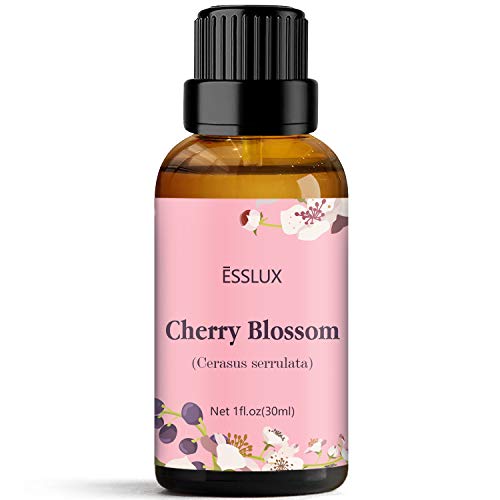 Cherry Blossom