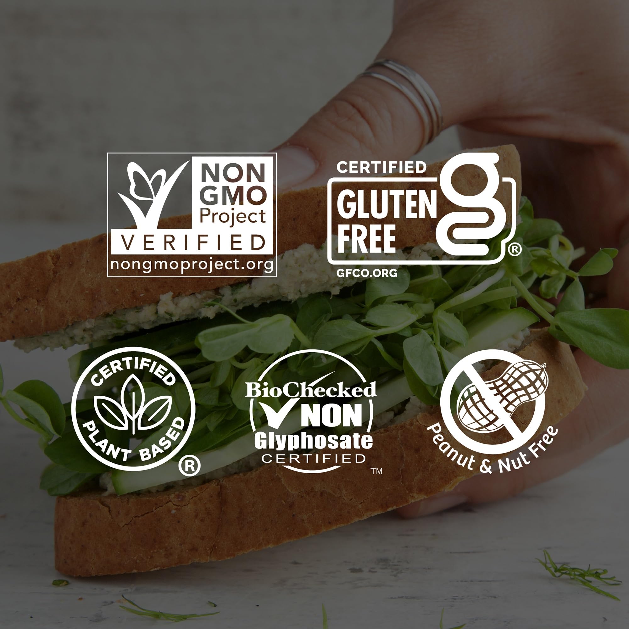 Little Northern Bakehouse Wide Sliced White Gluten Free Bread - Vegan, Non-GMO, Allergy Friendly Whole Grain Bread (8 Pack, 20 oz Each) | Perfect for Sandwiches, Toast & Healthy Snacks