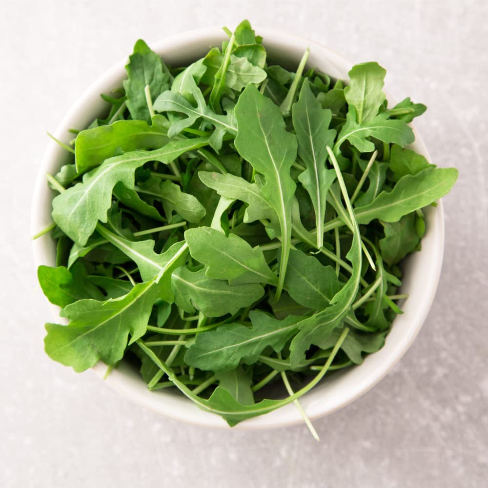 Slow Bolt Arugula Seeds - 3000 Count Non-GMO Heirloom Organic Salad Greens for Home Gardening, Microgreens & Gourmet Dishes