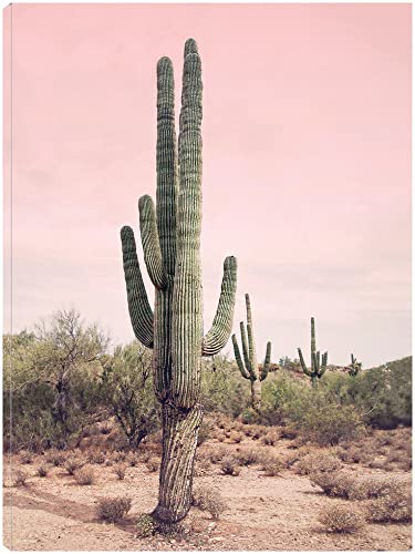 Desert Cactus Blush
