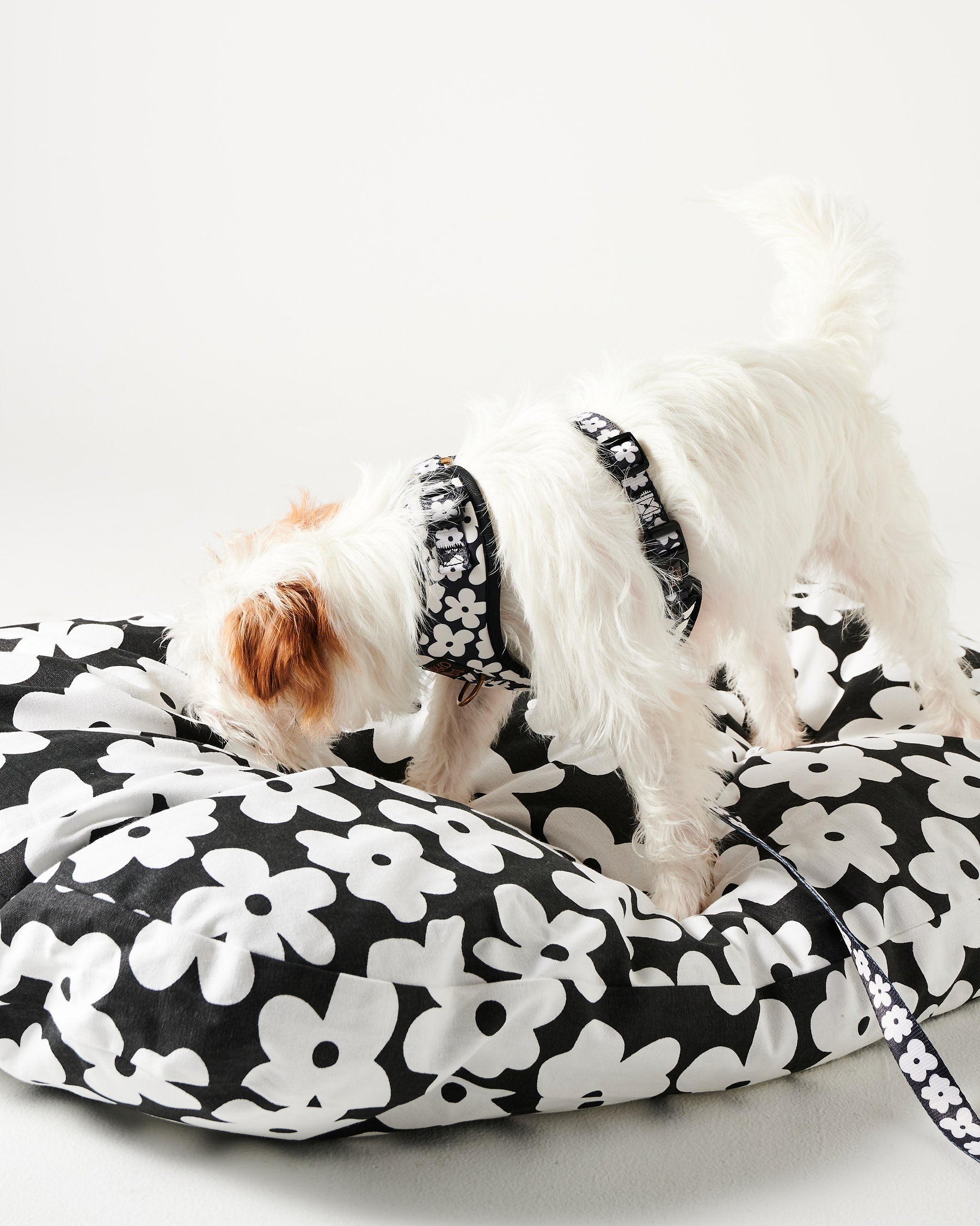 Premium Flower Print Dog Harness - Adjustable & Breathable Pet Vest for Small & Medium Dogs - Perfect for Walks, Hiking & Outdoor Adventures