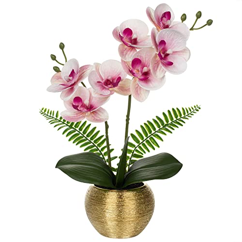 Light Pink Orchids Gold Vase