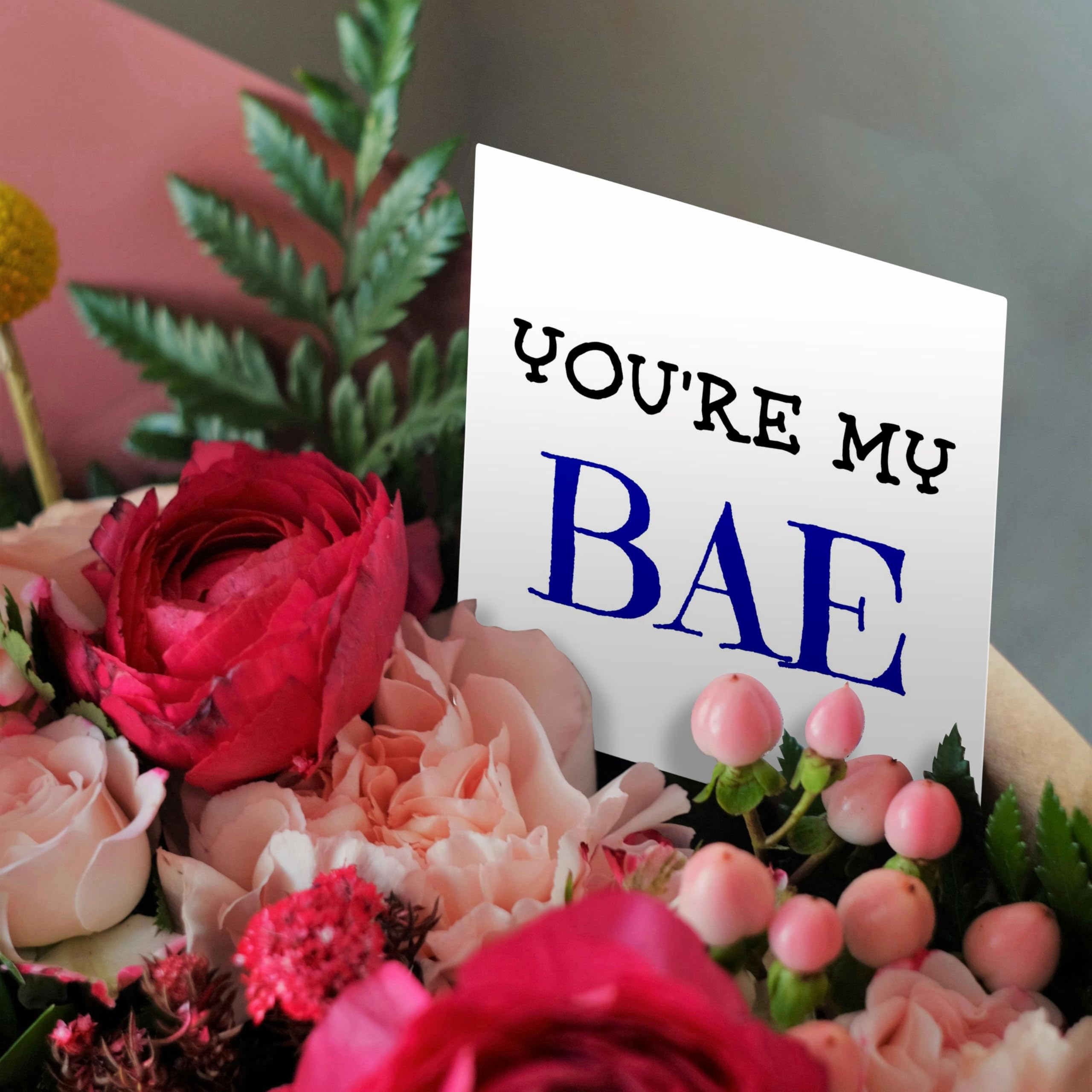3dRose Funny Greeting Cards - 'You're My Bae' Black & Red Lettering on White - 6 Pack - Xander Humorous Quotes - Perfect for Anniversaries, Birthdays & Valentine's Day Gifts