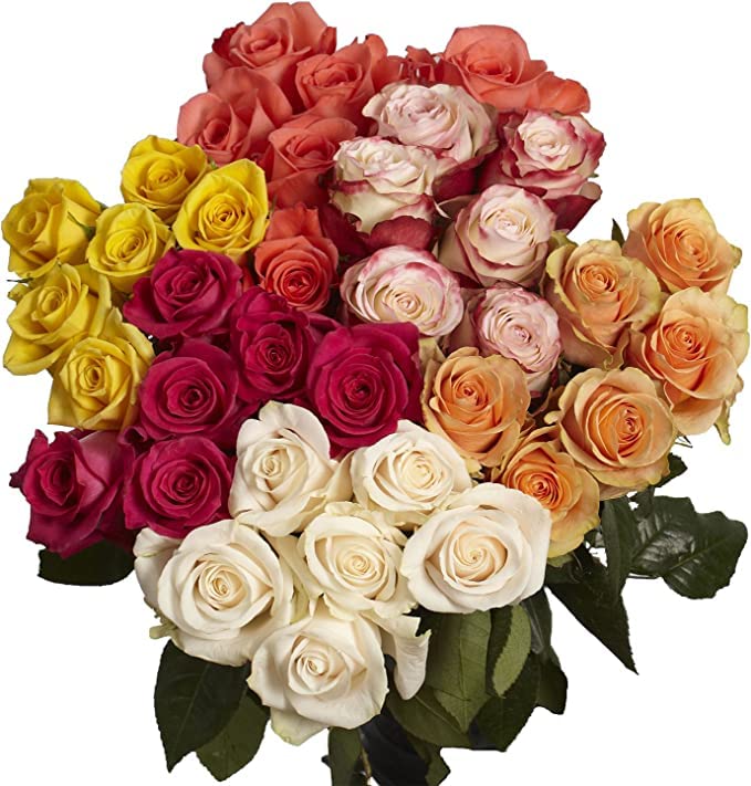 Premium 100 Assorted Long Stem Roses (50cm/20in) - Fresh Wedding Flowers for Birthdays, Anniversaries, Mother's Day - Perfect Romantic Gift & Home Decor