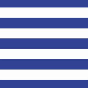 Navy Blue Stripes