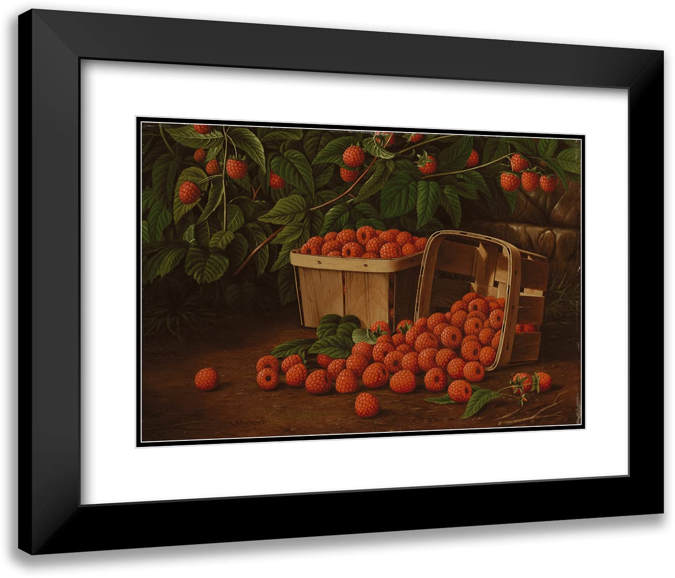 Levi Wells Prentice Framed Art Print - Raspberries in Basket 18x13 Inches, Black Modern Frame with Double Mat | Museum Quality Wall Decor for Living Room, Dining Room, or Office