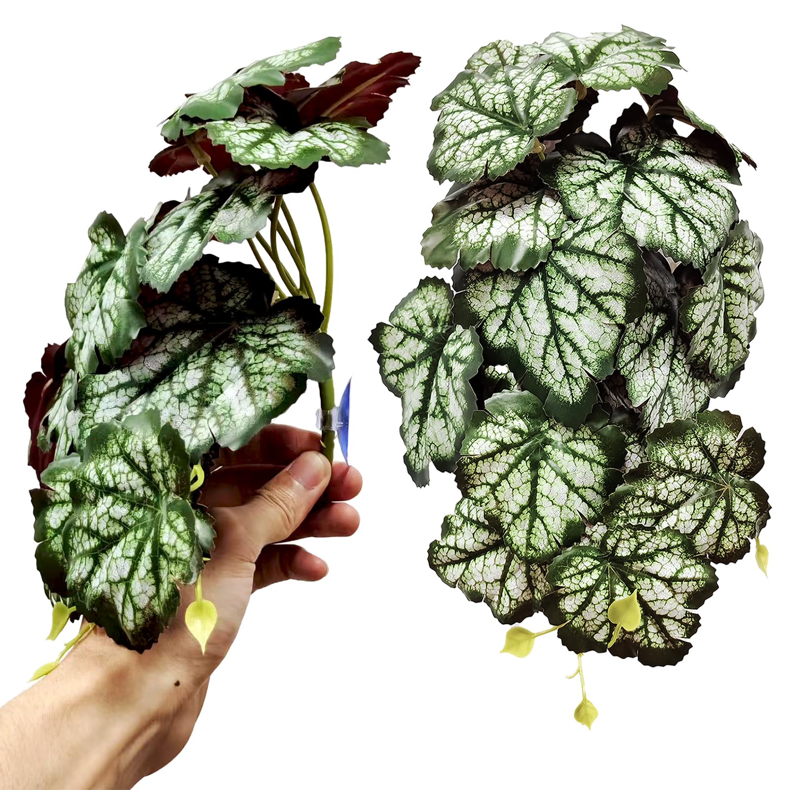 Woyrise Reptile Plants - 2 Pack Green Heuchera Terrarium Hanging Vines with Suction Cups for Bearded Dragon, Lizard, Snake, Gecko, Frog & Hermit Crab - Natural Amphibian Habitat Decor for Reptile Tanks - Perfect for Jungle Themed Enclosures & Bioactive Vivariums