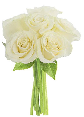 White Rose