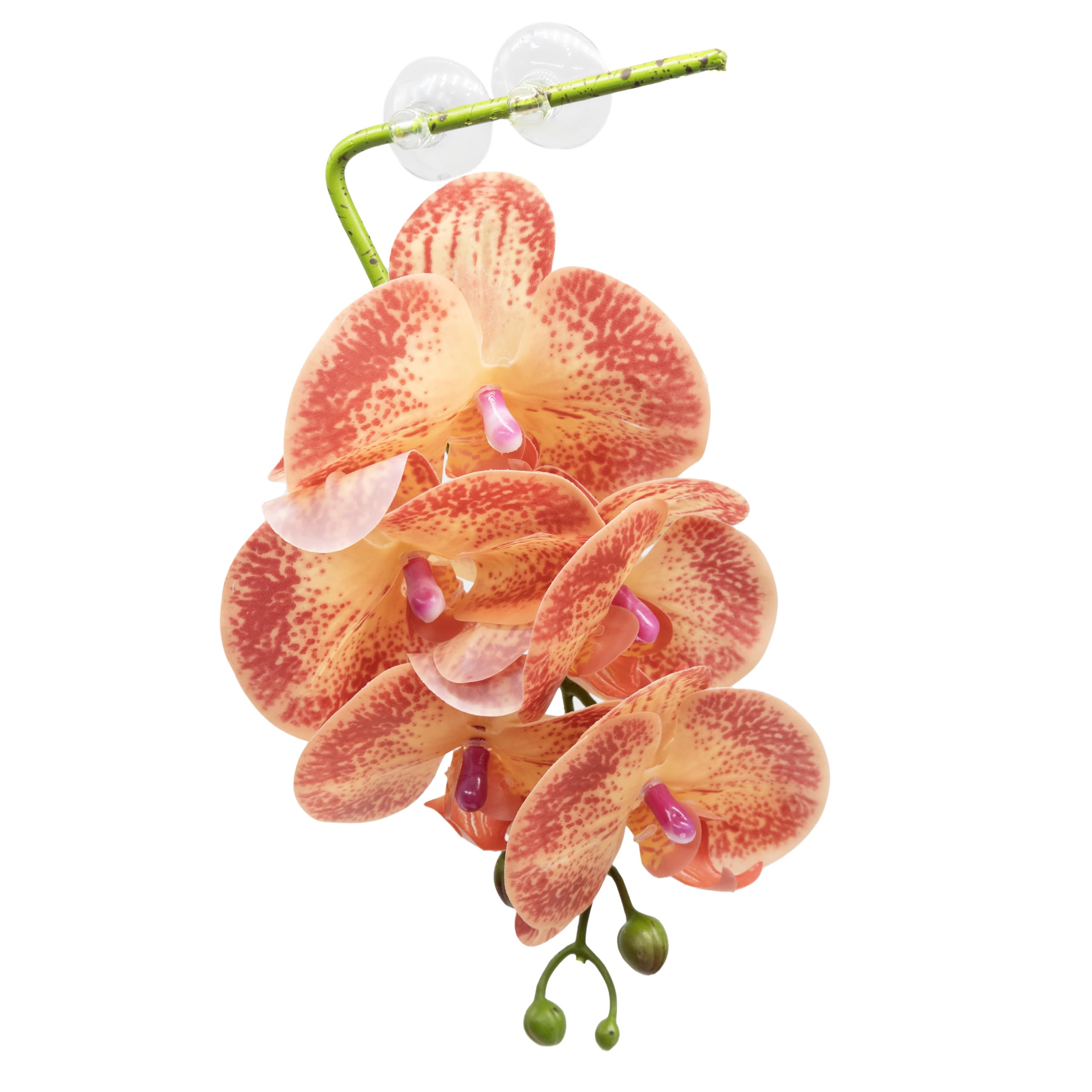 Pangea Reptile Hanging Orchid - Artificial Terrarium Plants for Reptile Habitat Decor (Orange & Yellow) | Perfect for Bearded Dragon Tanks, Gecko Enclosures & Vivarium Setups