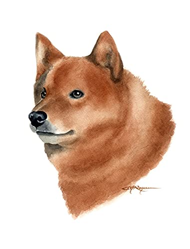 Finnish Spitz Watercolor Art Print - Handmade Dog Portrait Painting by Artist DJ Rogers - Perfect for Home Decor, Pet Lovers Gift & Wall Art