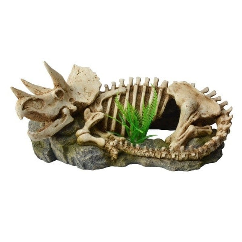 Bioscape Dinosaur Skeleton with Plant - 25.5 x 12cm Realistic Dino Fossil Decor for Home, Office & Classroom | Science & Educational Display, Unique Gift for Kids & Collectors