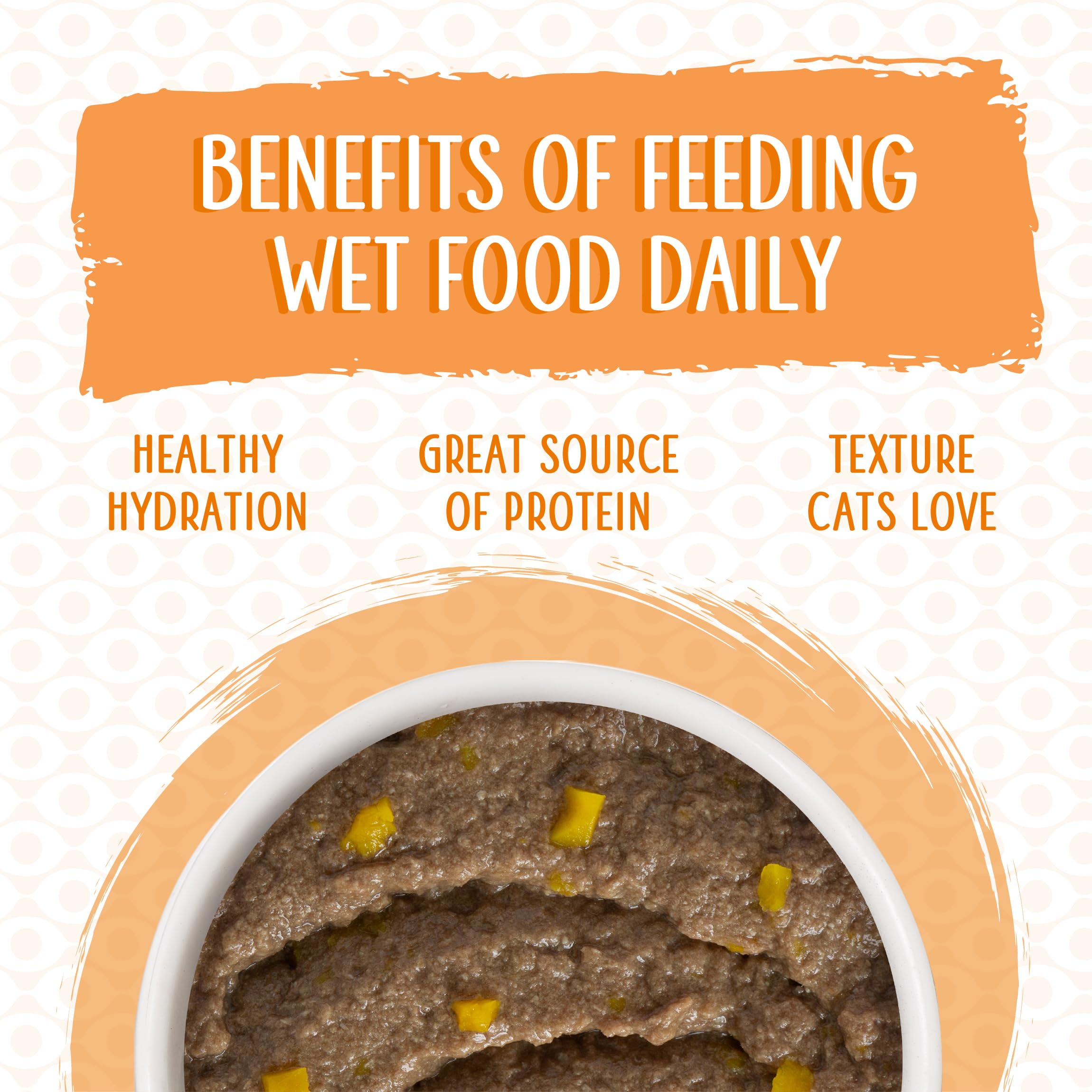Weruva Classic Cat Paté with Chicken & Pumpkin - Grain-Free Wet Cat Food, 5.5oz Cans (Pack of 8) | High Protein Meal for Adult & Senior Cats | Perfect for Picky Eaters & Weight Management