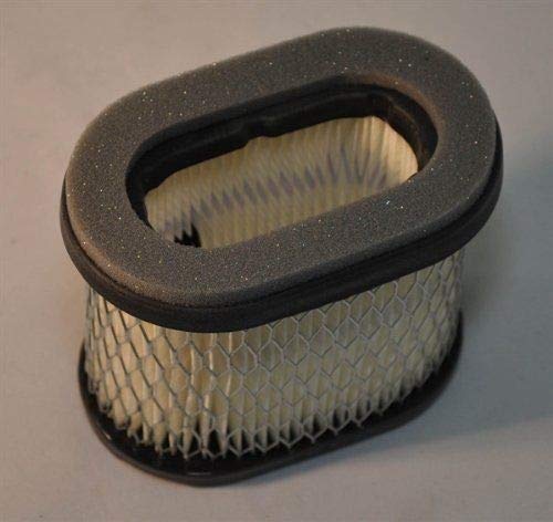 Craftsman Pressure Washer Air Filter Replacement - Compatible with Model 580.752410 & 580752410 - High Performance Engine Protection for Outdoor Power Equipment Cleaning
