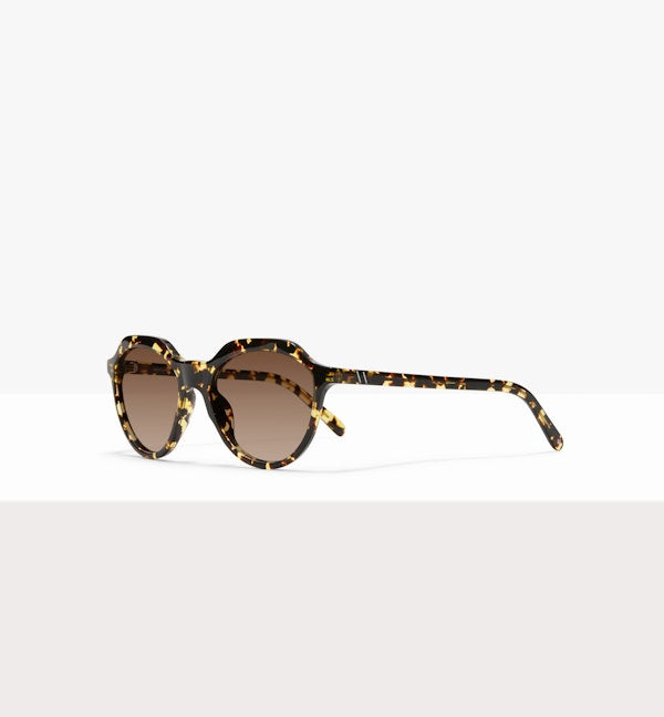 Stylish Jetsetter Sunglasses for Men & Women - UV Protection Polarized Aviator Shades - Perfect for Travel, Driving, and Outdoor Adventures
