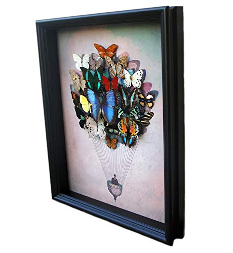 Real Framed Butterfly Art Hot Air Balloon - Nature Inspired Wall Decor for Living Room, Bedroom & Office | Unique Home Decoration Gift Idea