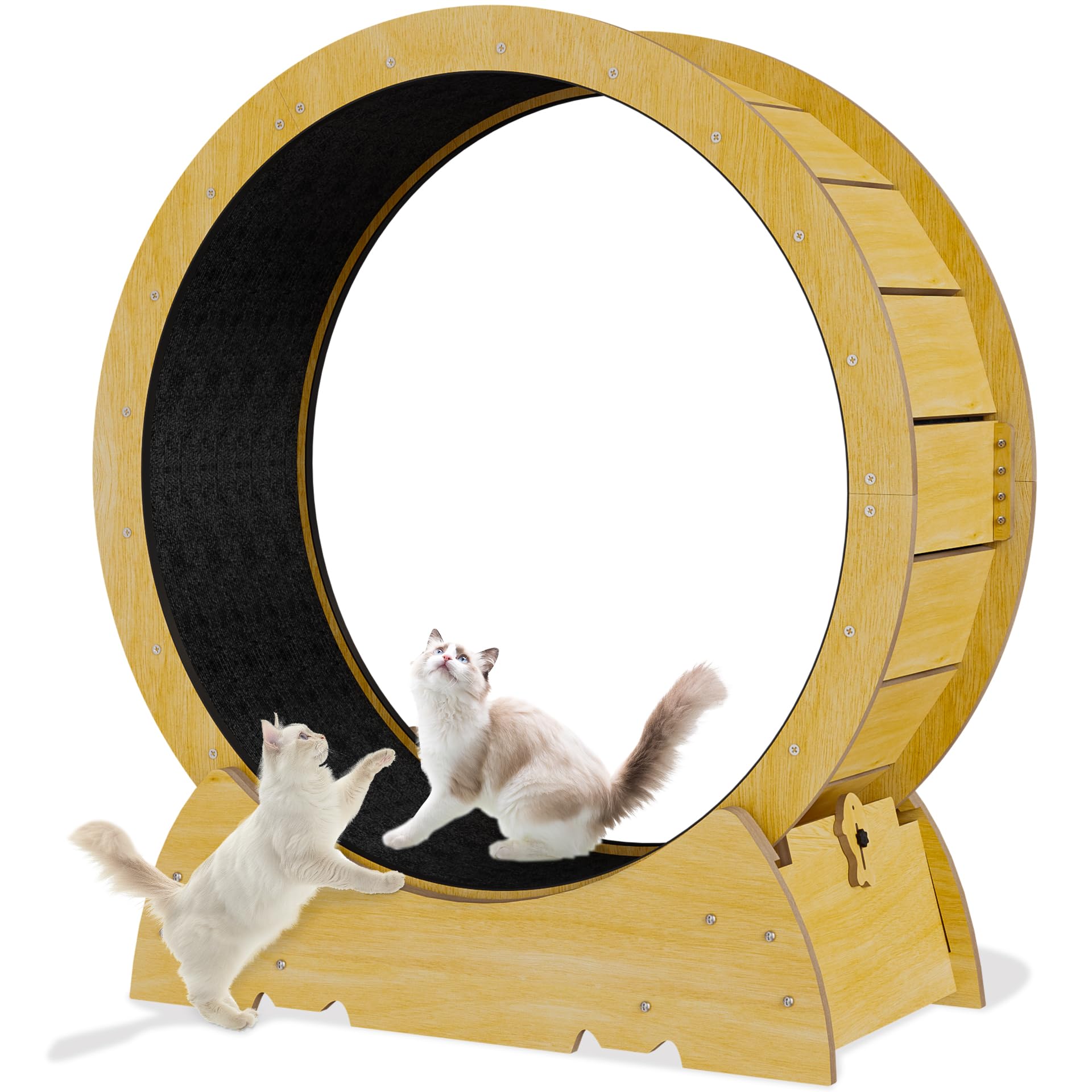 36 Inch Cat Exercise Wheel - Large Indoor Cat Treadmill with Soft Carpeted Runway for Active Cats | Perfect for Kitty Fitness, Weight Loss & Play | Great Gift for Cat Lovers (Ideal for Small Spaces & Apartment Living)