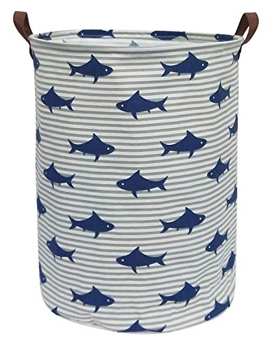 Shark