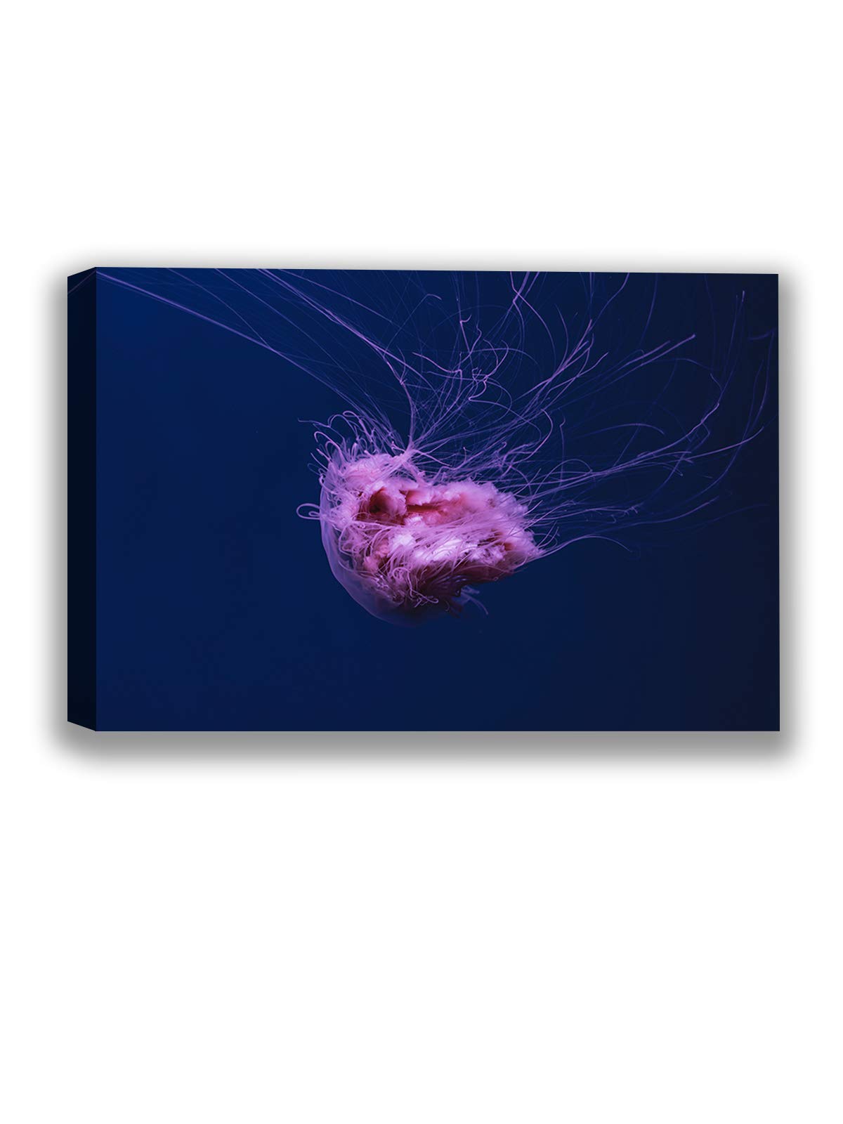 Pink Jellyfish Sea Animals Canvas Wall Art - 32x40 Inch Ocean Themed Home Decor Print for Living Room, Bedroom & Nursery | Unframed