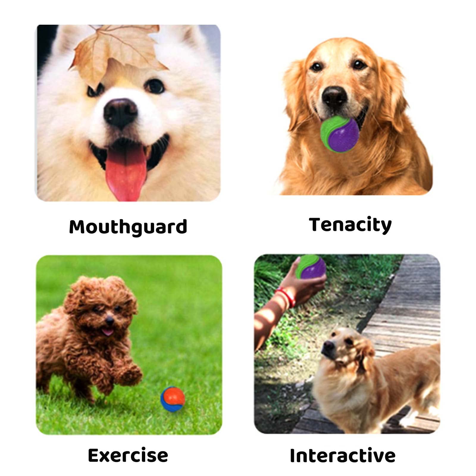 6Pcs Squeaky Dog Ball Toys - Teeth Cleaning & Chew Toys for Puppies, Interactive Pet Training Balls for Dogs - Perfect for Playtime, Training & Dental Health