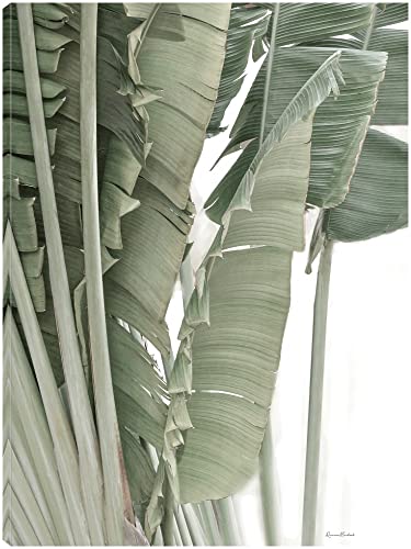 Banana Branch IV