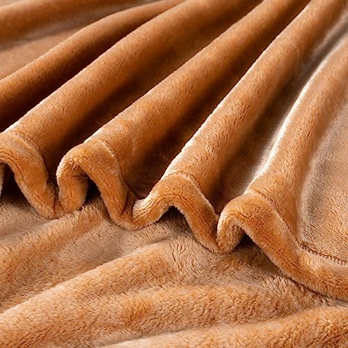 Butterscotch