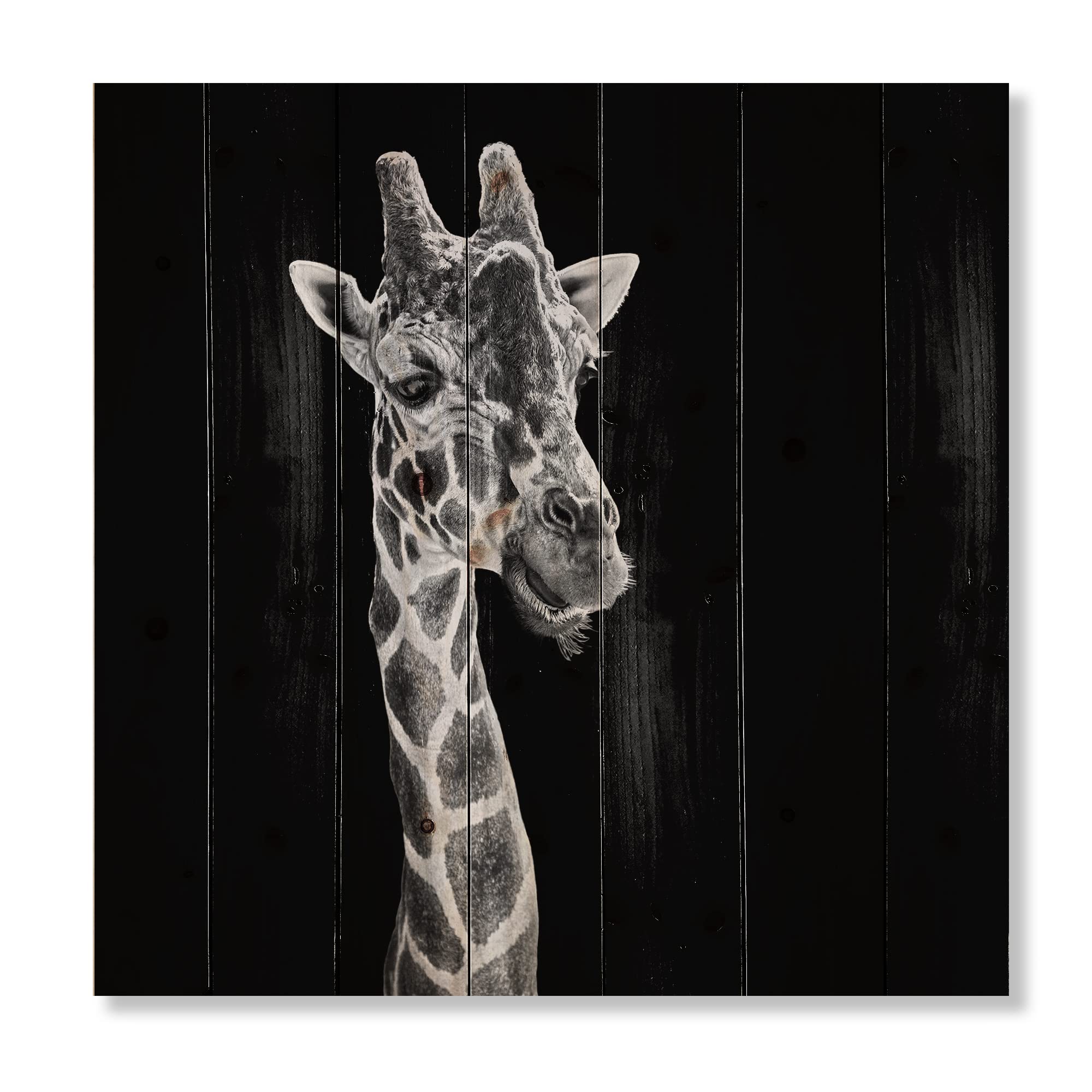 DesignQ Close-Up Portrait of a Giraffe II - Farmhouse Wood Wall Decor, Black Wood Wall Art, Large Animal Wood Panels Printed on Natural Pine - Perfect for Living Room, Nursery, or Office Decor