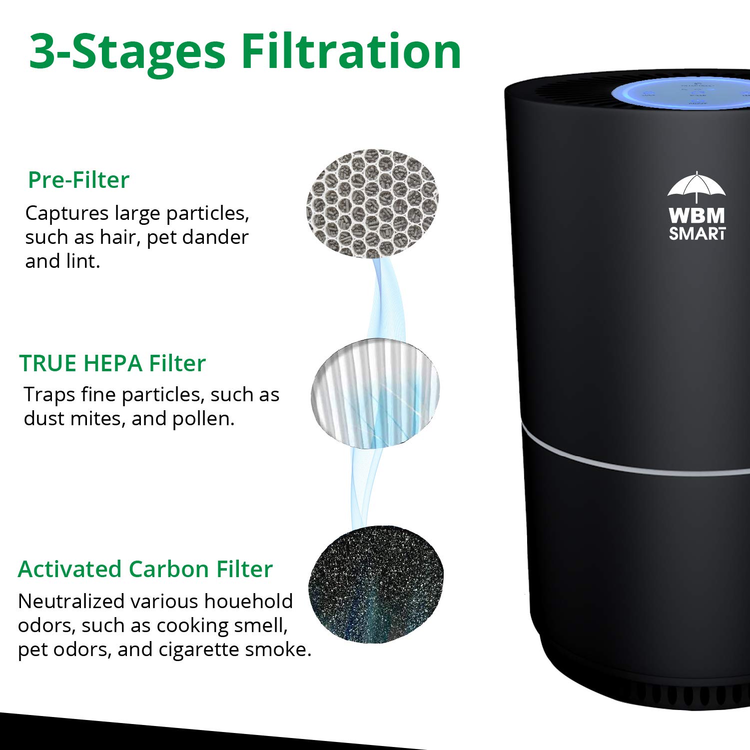 HEPA Air Purifier for Allergies & Pet Dander - Removes Dust, Mold, Pollen, Smoke & Odors - Quiet Bedroom Air Cleaner (Black) - Perfect for Allergy Sufferers & Pet Owners