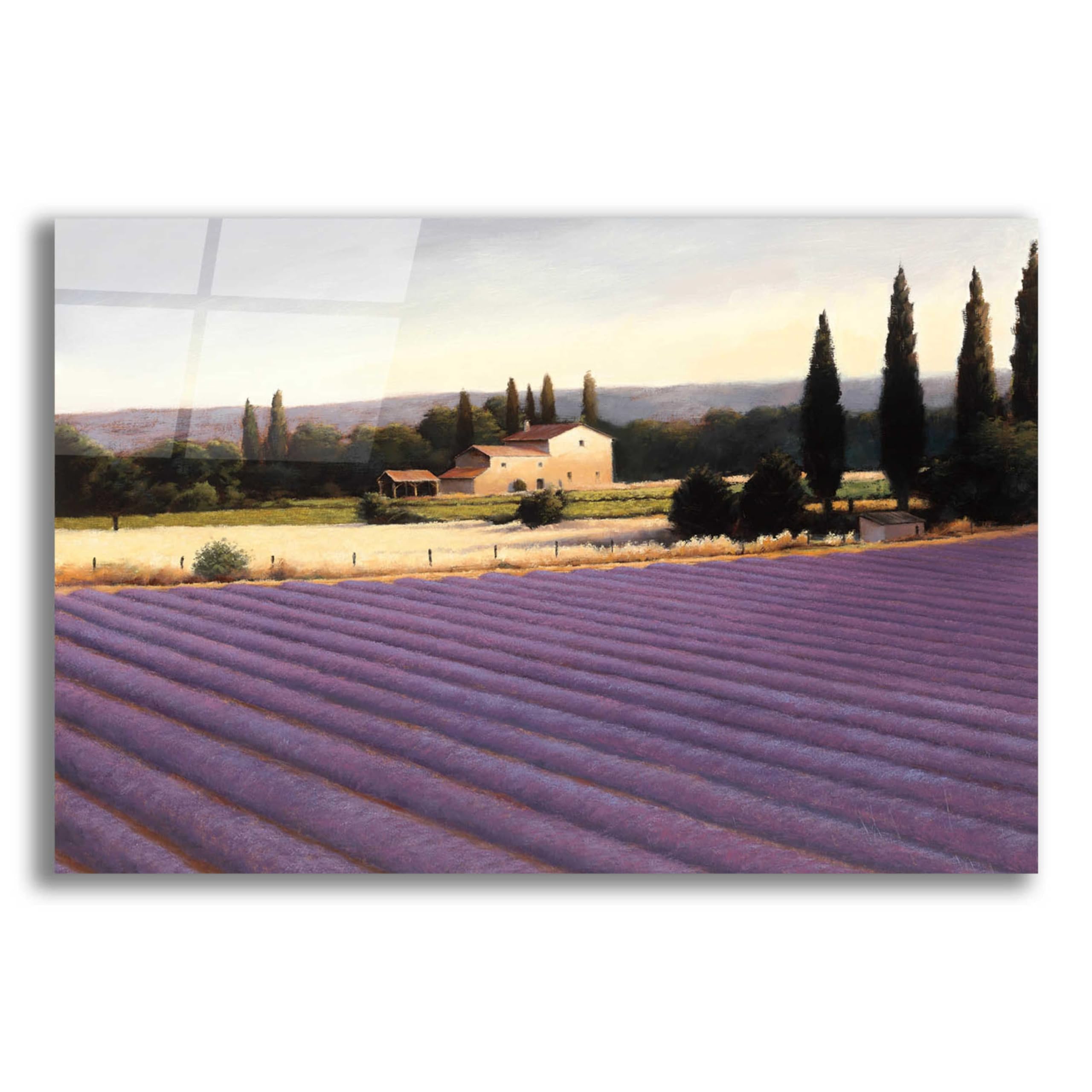 Lavender Fields II Acrylic Glass Wall Art by James Wiens - 24x16 Inches Modern Home Decor for Living Room, Bedroom & Office