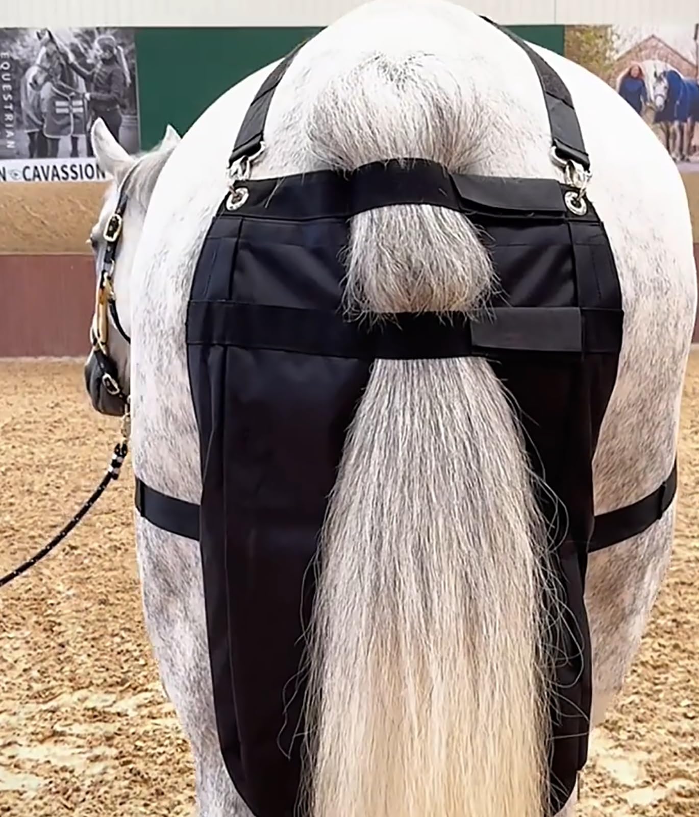Durable Horse Manure Bag with Double Zipper - Waterproof & Leak-Proof Pony Waste Storage for Travel, Camping & Urban Use - Perfect for Barns, Stables & City Streets (Medium Size)