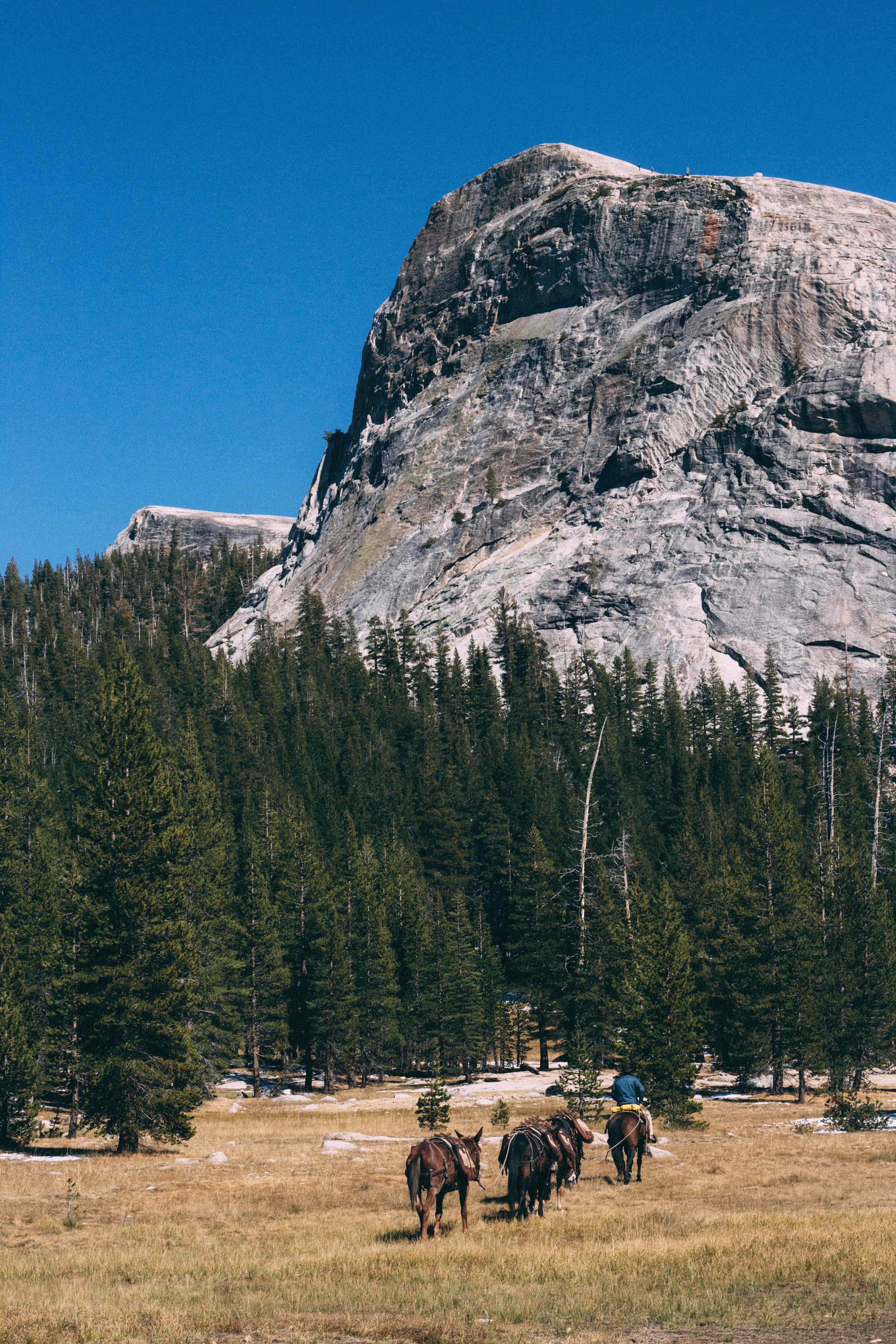 Yosemite Backpacking Gear - Glen Aulin Pass Thru Hiking Backpack for Outdoor Adventures | Perfect for Camping, Trekking & Wilderness Exploration