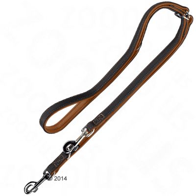 HUNTER UP Adjustable Dog Training Leash - Flat Design for Canadian Pets - Perfect for Obedience Training, Walking & Outdoor Adventures