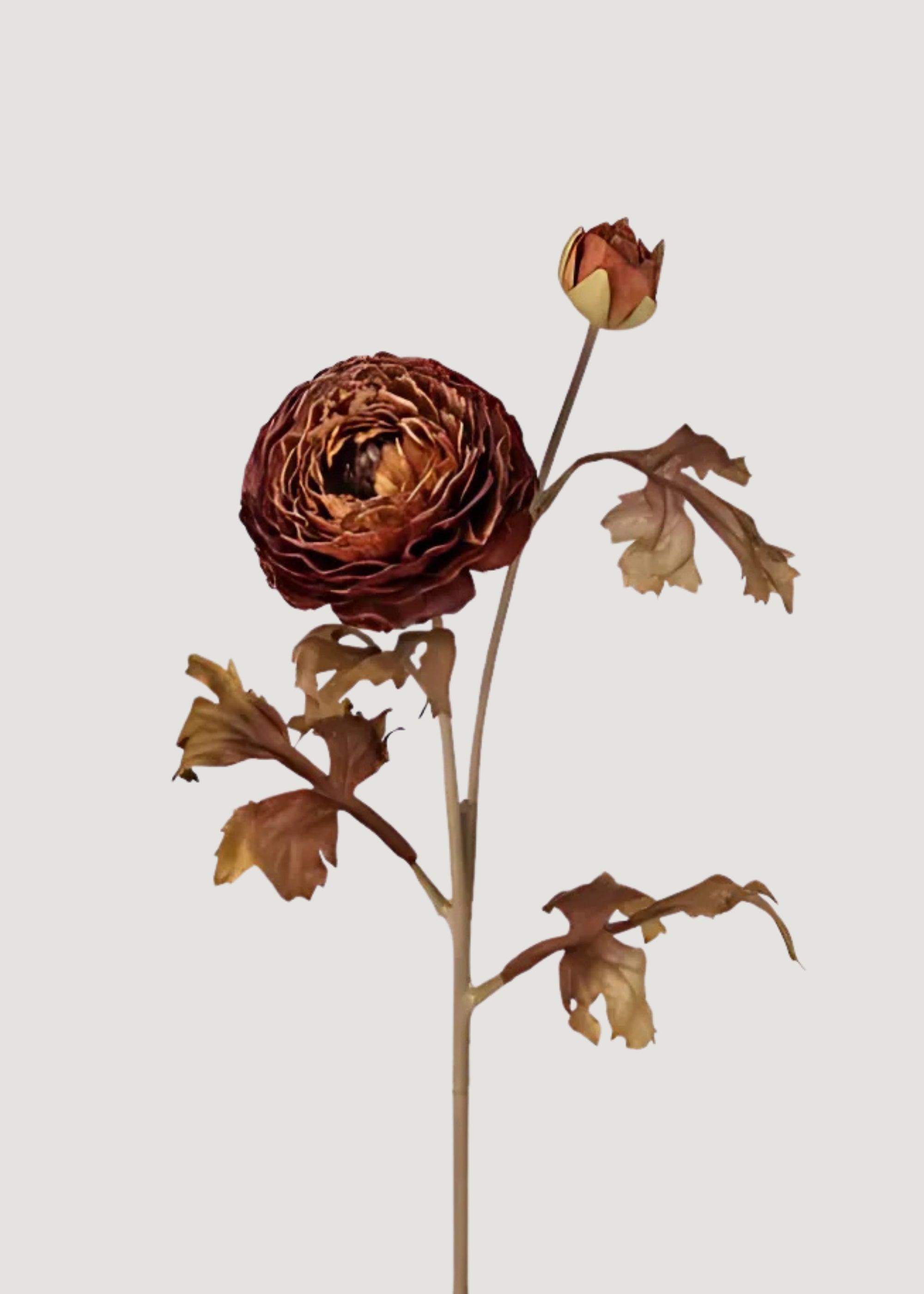 24 Pack Artificial Ranunculus Flowers in Fall Cinnamon Color - Perfect for Home Decor, Wedding Centerpieces, and DIY Crafts