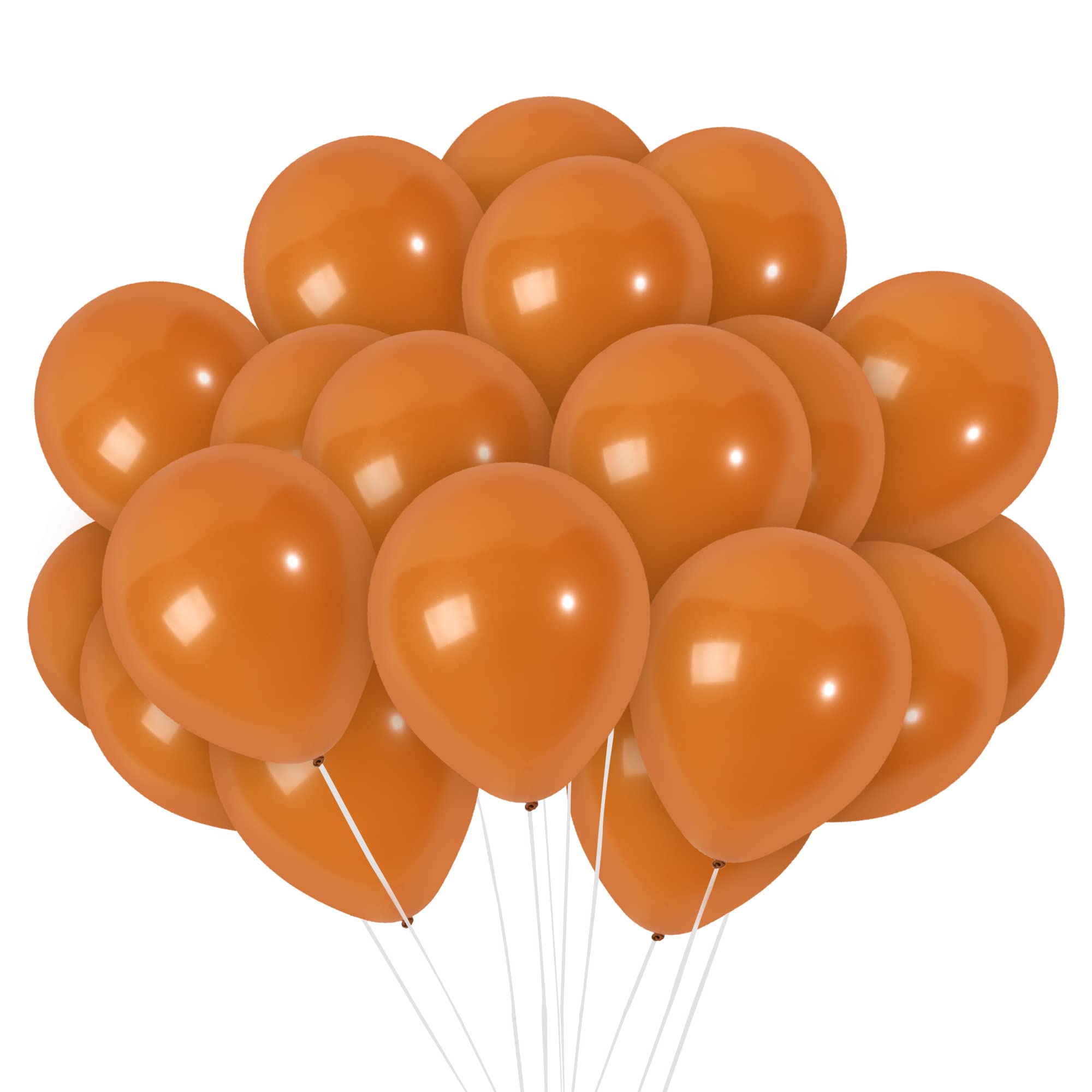 10 Inch Matte Chocolate Latex Balloons - Light Brown, Tan, Rust, Mocha Balloons Bulk Pack (36 Count) for Birthday Parties, Baby Showers & Wedding Decorations