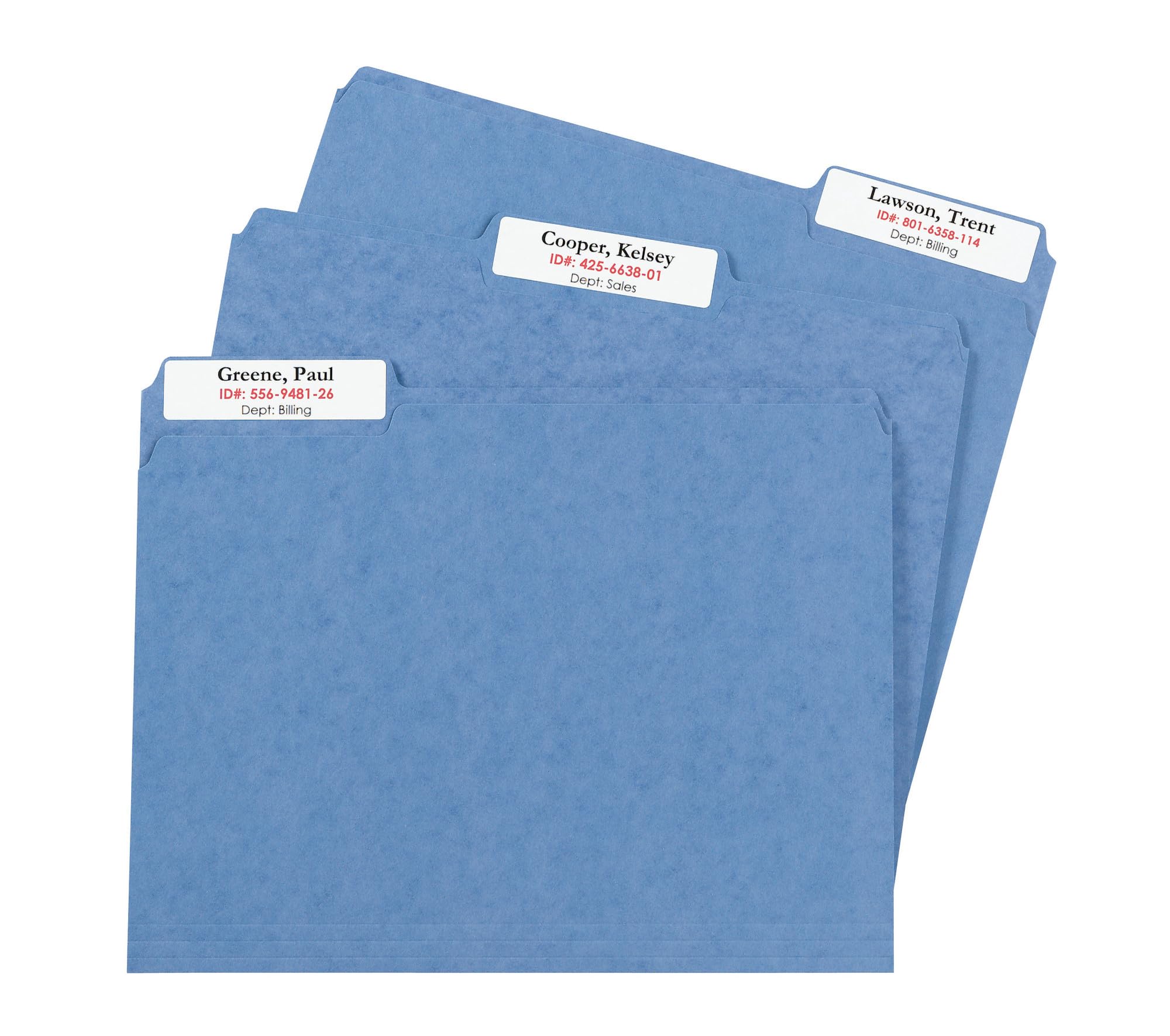 Avery TrueBlock Extra Large File Labels, 15/16