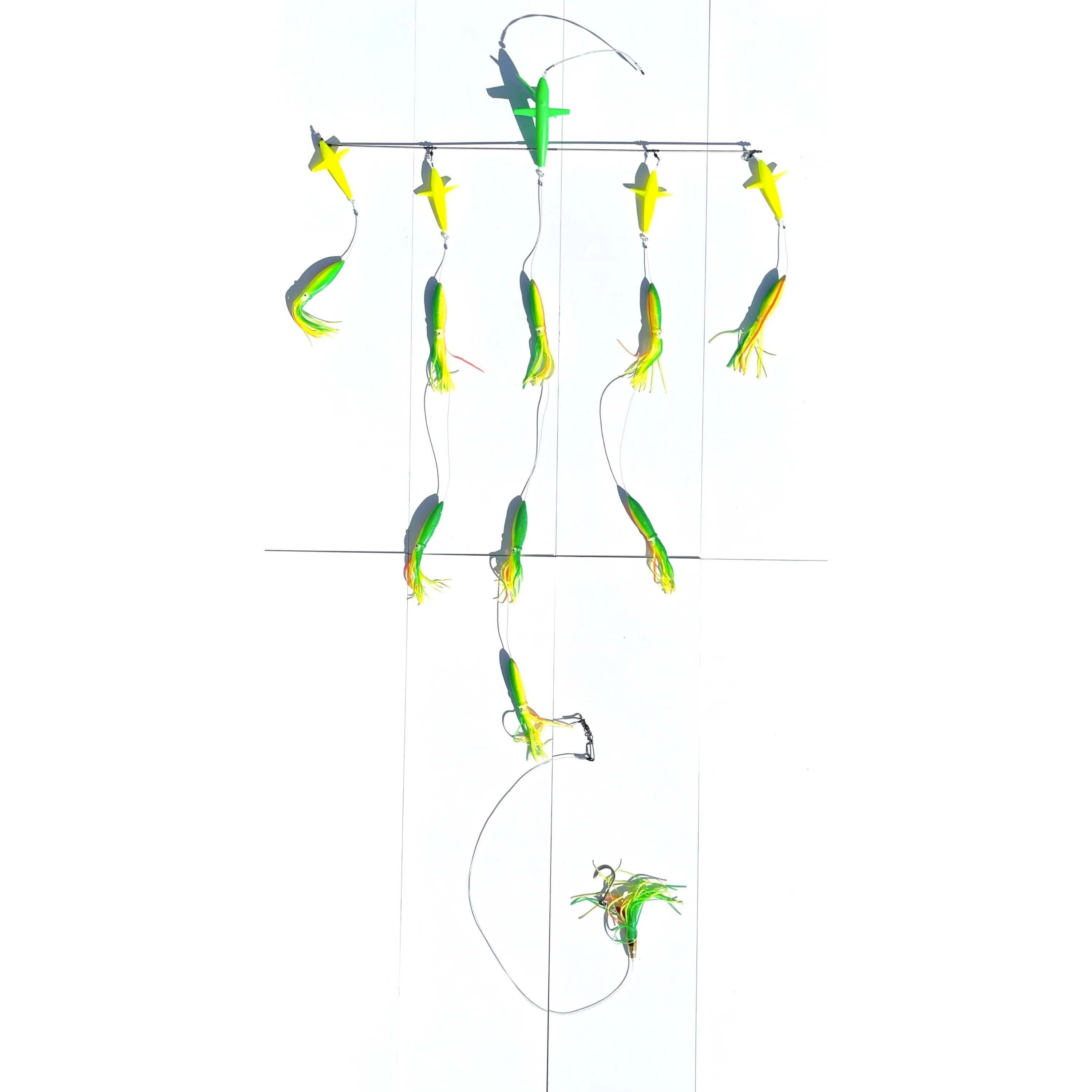 Parrot