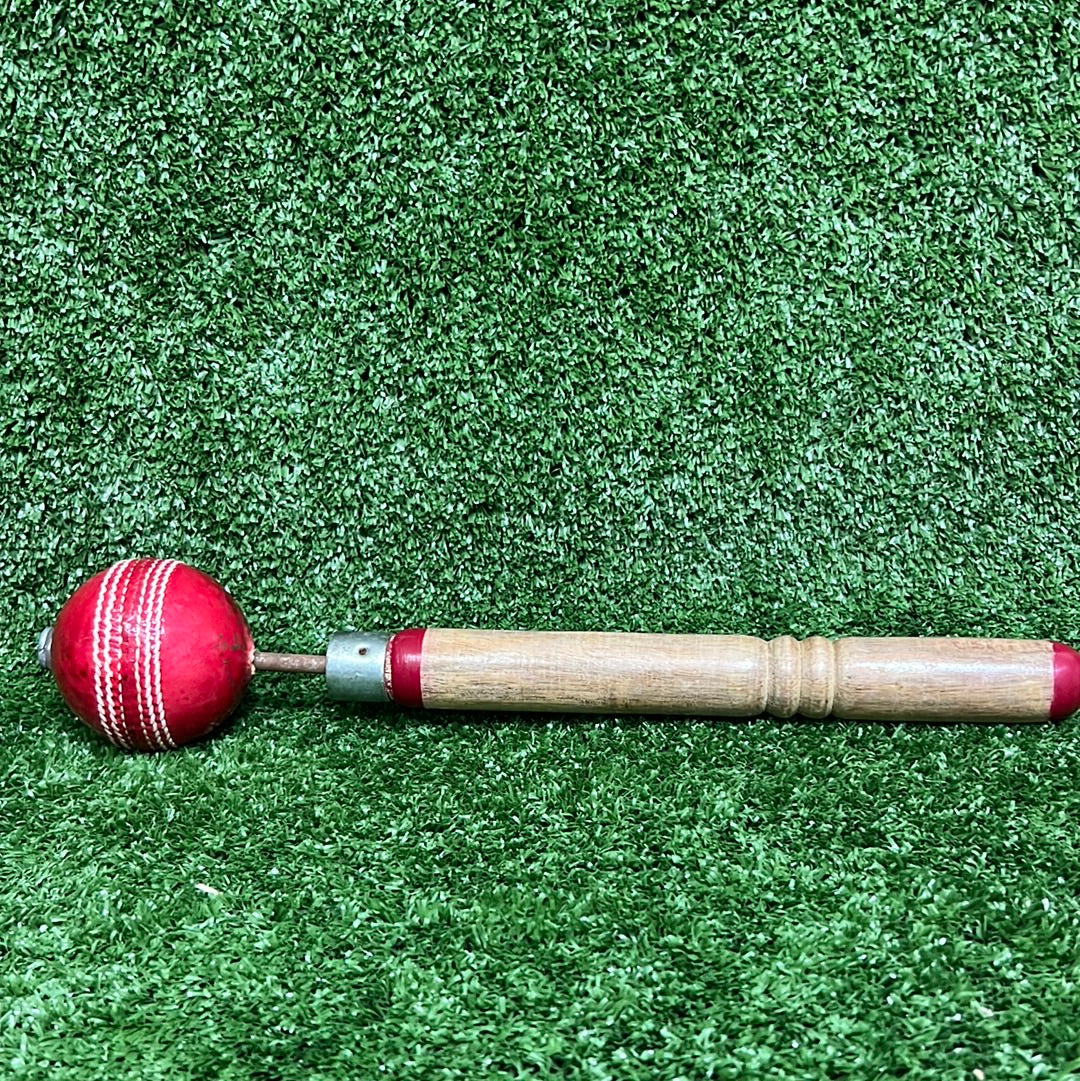 Premium Raidyn Revolution Cricket Ball for Fast Bowlers & Spinners - Perfect for Practice Sessions & Competitive Matches