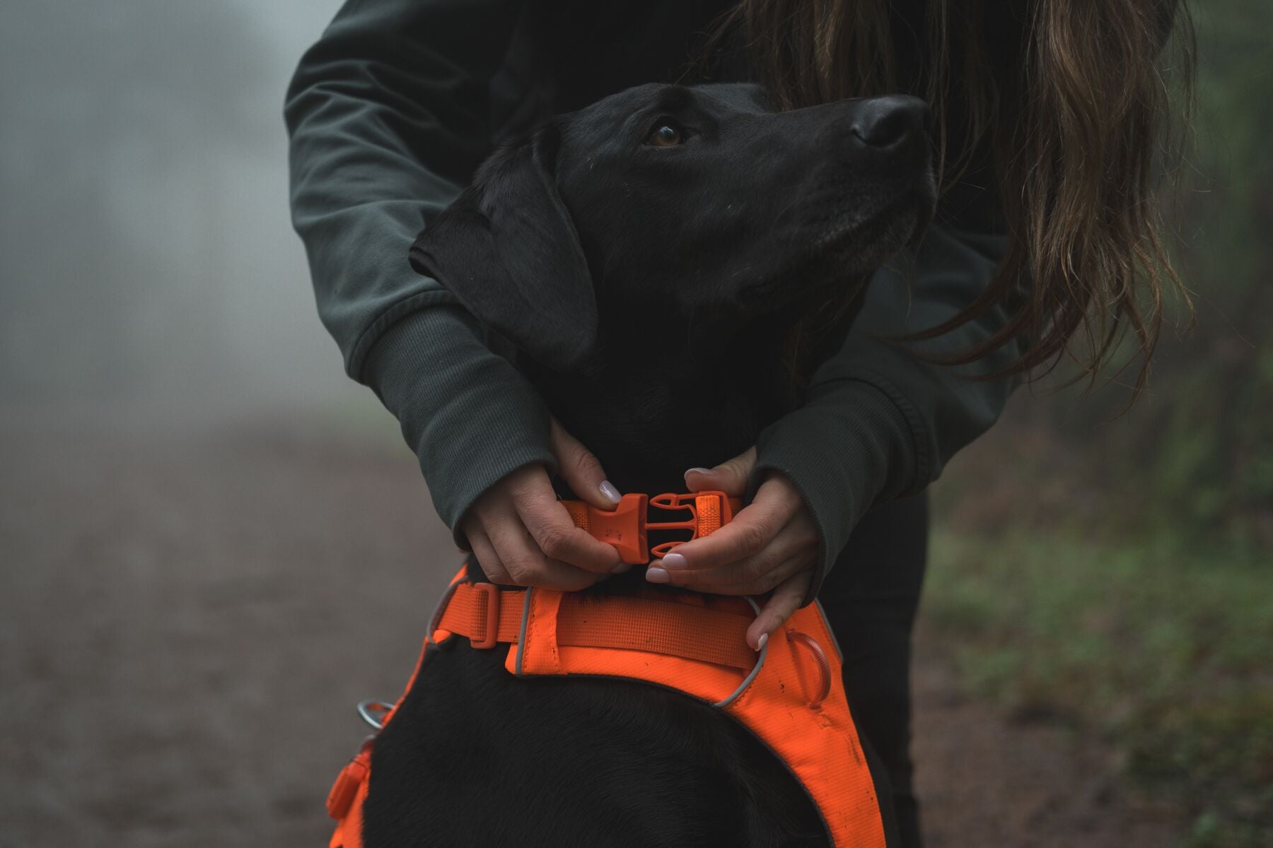 Ruffwear Front Range Dog Harness - Blaze Orange Reflective Vest for Medium & Large Dogs | Perfect for Hiking, Running & Outdoor Adventures