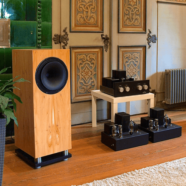 Tobian Sound Systems 12HC High-Power Coaxial Horn Speaker - Professional PA System for Outdoor Events, Stadiums, and Commercial Installations
