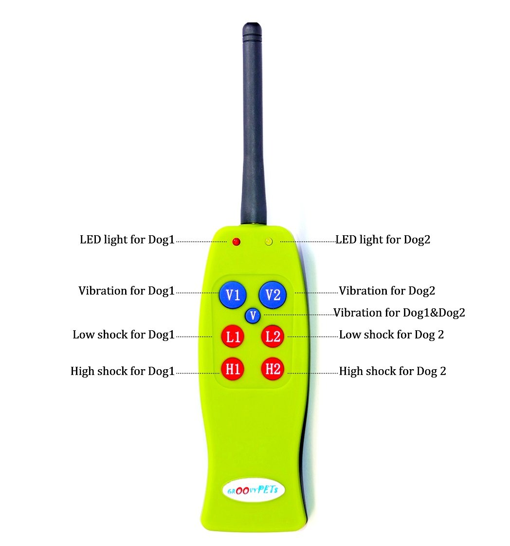 Rechargeable Remote Control Dog Training Collar with Vibration & Shock - Dual Receiver System for 2 Dogs | Perfect for Obedience Training & Behavior Correction