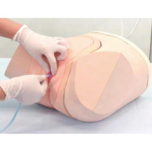 Female Catheterization & Enema Training Simulator - Medical Practice Model for Nursing Students & Healthcare Professionals - Perfect for Clinical Skills Training & Patient Care Education