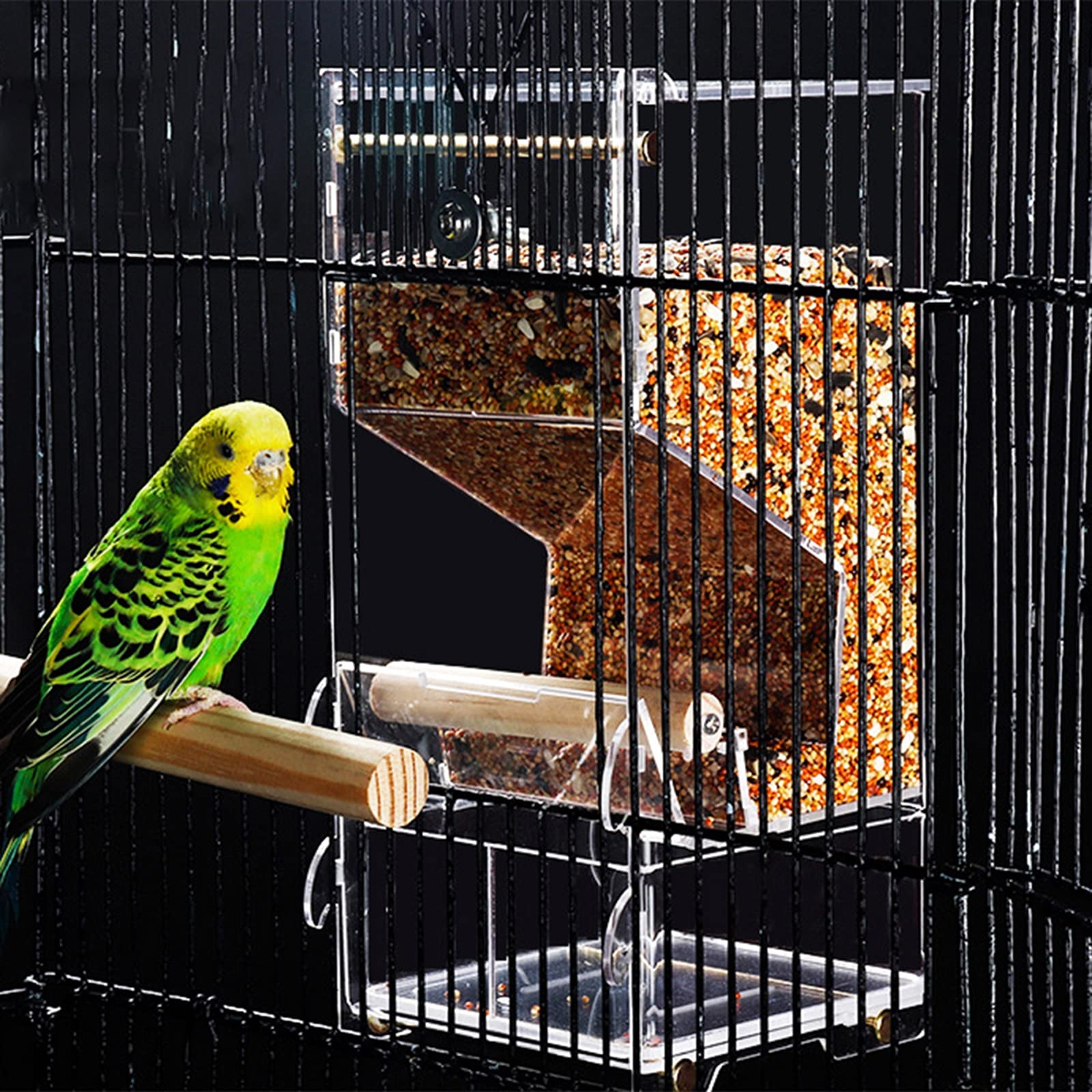 Automatic Transparent Bird Feeder for Parrots & Pet Birds - Food Container & Supply Dispenser for Bird Cages - Perfect for Outdoor & Indoor Bird Watching